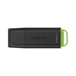 Kingston Technology DataTraveler 256Go Stockage… | MonPC.Store
