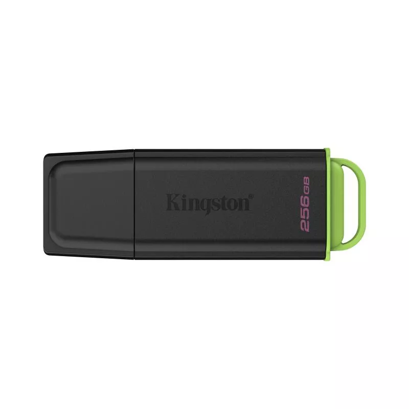 Kingston Technology DataTraveler 256Go Stockage… | MonPC.Store