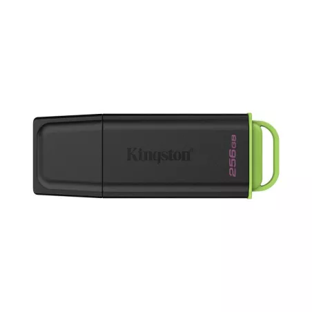 Kingston Technology DataTraveler 256Go Stockage… | MonPC.Store