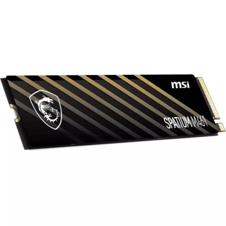 MSI Spatium S78-440L1D0-P83 disque SSD 1 To M.2 PCI… | MonPC.Store