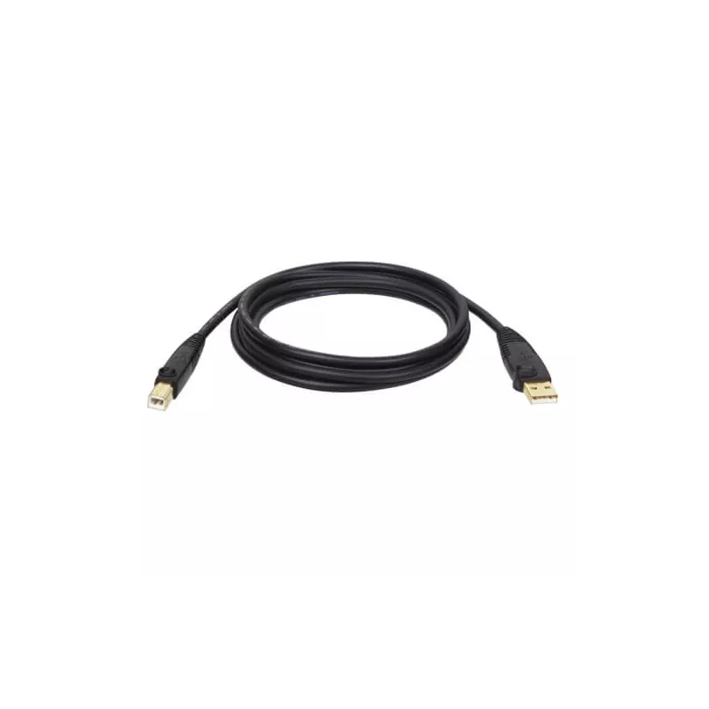 Tripp Lite by Eaton - Câble USB 2.0 A/B (M/M), 1,83 m | MonPC.Store
