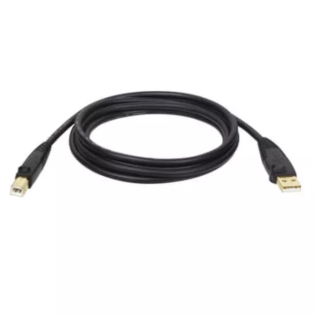 Tripp Lite by Eaton - Câble USB 2.0 A/B (M/M), 1,83 m | MonPC.Store