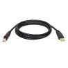 Tripp Lite by Eaton - Câble USB 2.0 A/B (M/M), 1,83 m | MonPC.Store