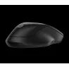 HP-C HP 255 Souris sans fil Noire - Dual mode (2,4… | MonPC.Store