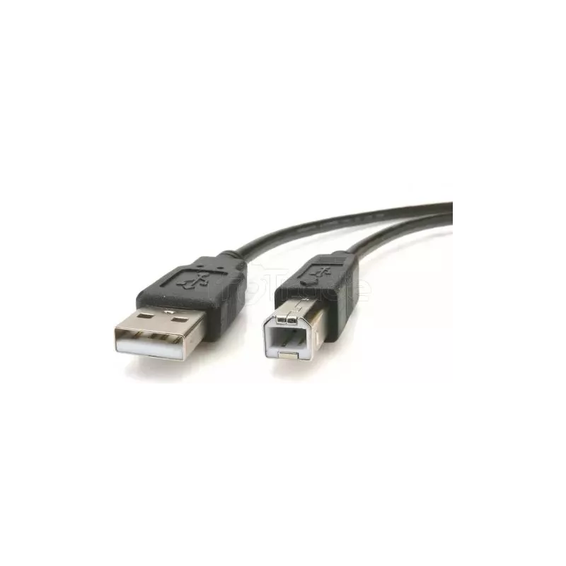 Cable USB 2.0Gembirdtype AB M/M - 1,80m (Noir) | MonPC.Store