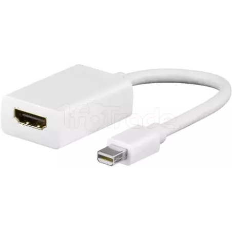 Câble adaptateurGoobayMini DisplayPort mâle 1.1 vers… | MonPC.Store