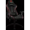 Fauteuil GamerThunderX3RC3 HexRGB (Noir/Rouge) | MonPC.Store