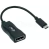 Cable adaptateur USB Type CI-Tecvers DisplayPort 10cm… | MonPC.Store