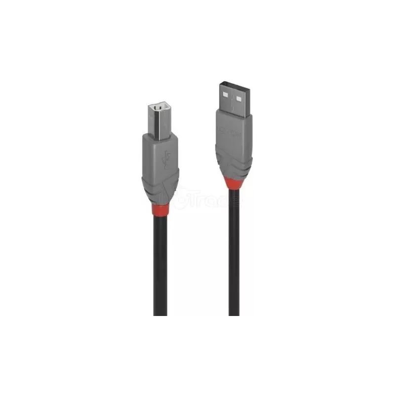 CableLindyUSB 2.0 type A - B M/M 2m (Gris) | MonPC.Store