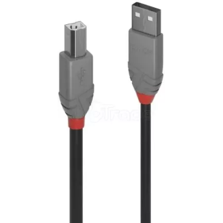 CableLindyUSB 2.0 type A - B M/M 2m (Gris) | MonPC.Store