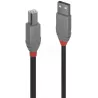CableLindyUSB 2.0 type A - B M/M 2m (Gris) | MonPC.Store