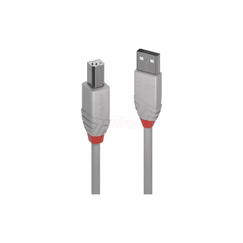 CableLindyUSB 2.0 type A - B M/M 3m (Gris) | MonPC.Store