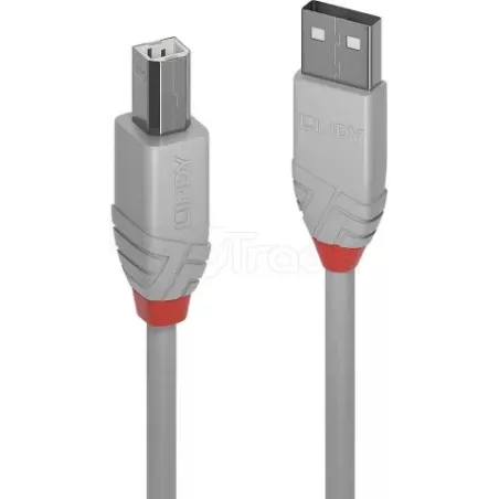 CableLindyUSB 2.0 type A - B M/M 3m (Gris) | MonPC.Store
