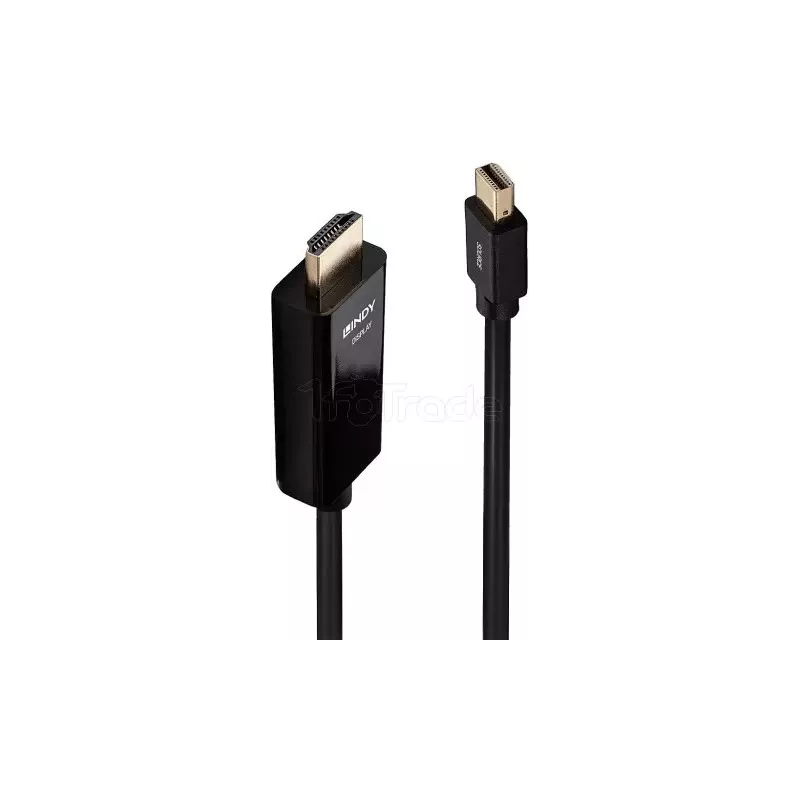 Câble Mini DisplayPort 1.2Lindyvers HDMI 1.4 M/M 2m… | MonPC.Store