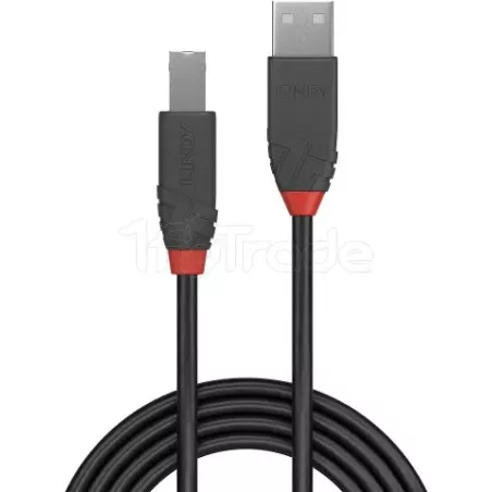CableLindyAnthra Line USB 2.0 A/B M/M 1m (Gris) | MonPC.Store