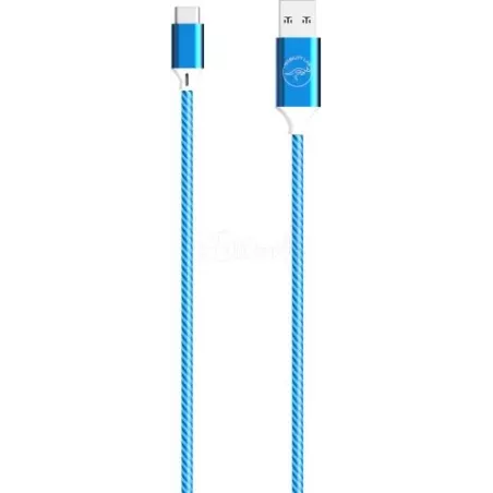 CableMobility LabLED USB 2.0 type A - type C M/M 1m… | MonPC.Store