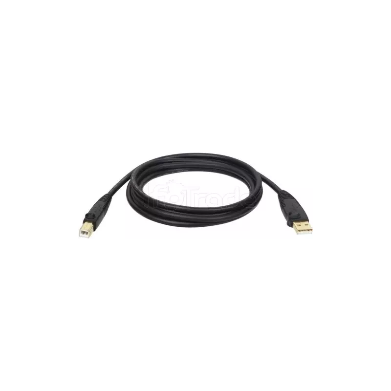 CableEatonTripp Lite USB 2.0 type A - B M/M 1,8m (Noir) | MonPC.Store