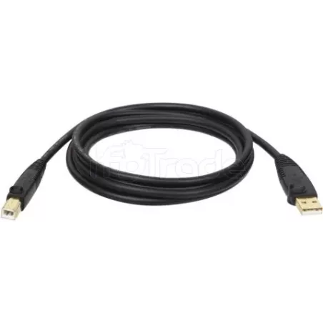 CableEatonTripp Lite USB 2.0 type A - B M/M 1,8m (Noir) | MonPC.Store