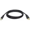 CableEatonTripp Lite USB 2.0 type A - B M/M 1,8m (Noir) | MonPC.Store