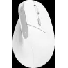 Souris sans fil ergonomiqueTrustBayo II(Blanc) | MonPC.Store