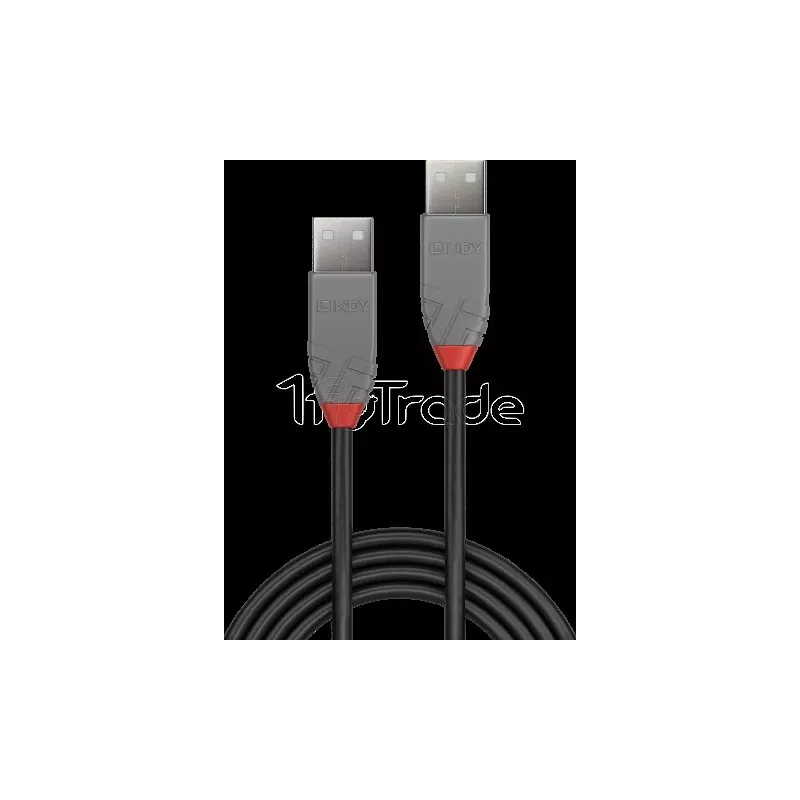 CableLindyAnthra Line USB 2.0 A M/M 1m (Gris) | MonPC.Store