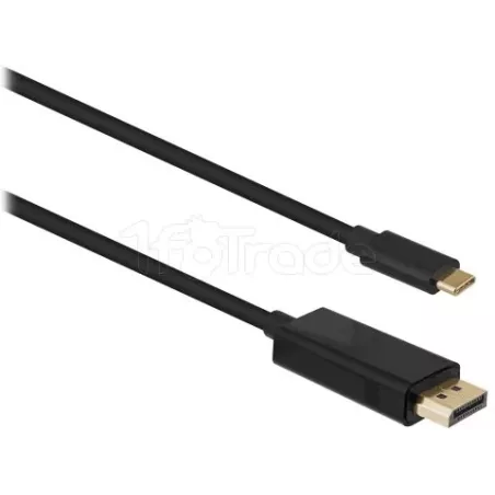 Cable adaptateur USB-CT'nBvers DisplayPort 2m M/M (Noir) | MonPC.Store