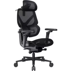 Fauteuil ergonomiqueThunderX3Flex Pro Mesh(Noir) | MonPC.Store