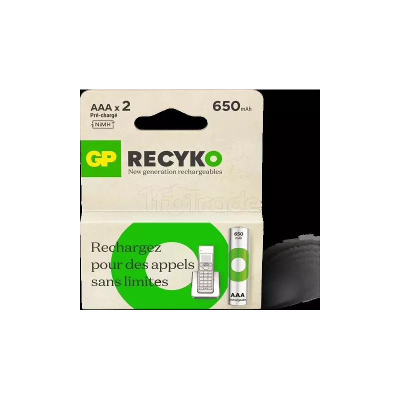 Lot de 2 piles rechargeablesGP BatteriesRecykotype AAA… | MonPC.Store