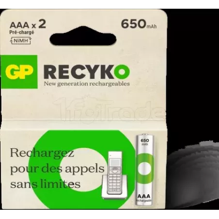 Lot de 2 piles rechargeablesGP BatteriesRecykotype AAA… | MonPC.Store