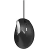 Souris filaire ergonomiqueRapooEV200(Noir) | MonPC.Store
