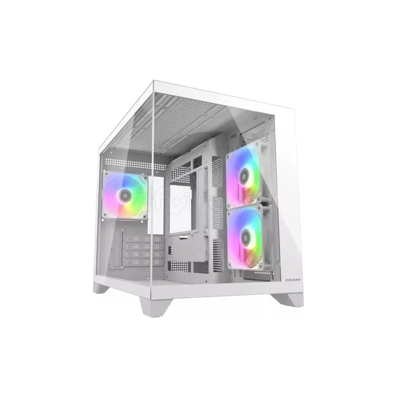 Boitier Mini Tour Micro ATX CougarFV150 MiniRGB avec… | MonPC.Store