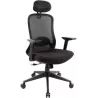 Fauteuil ergonomiqueAdvanceAeropro(Noir) | MonPC.Store