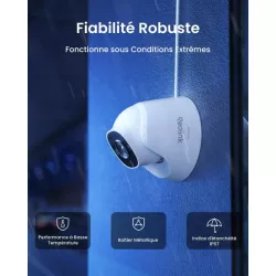 Reolink RP-PCT8M | MonPC.Store
